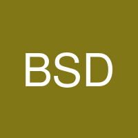 Bold Smiles Dental's profile picture