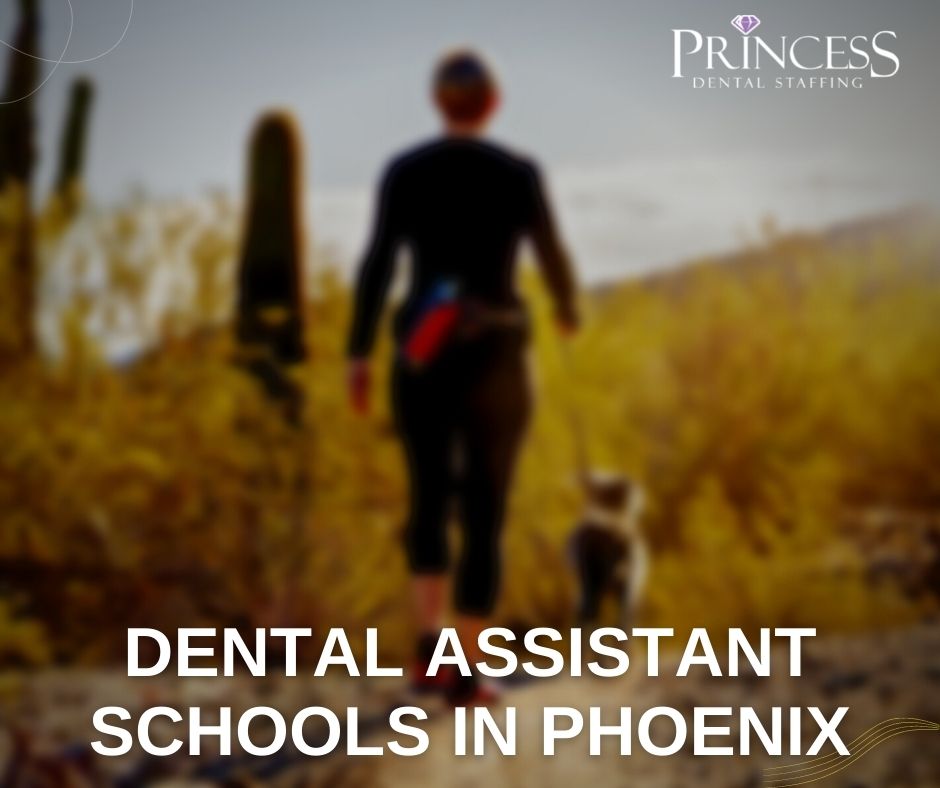 Dental Assistant Schools in Phoenix Princess Dental Staffing