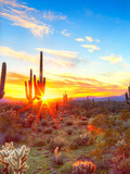 Pinnacle Peak Oral Surgery