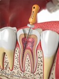 Dental Wellness of Anaheim