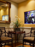 Holistic Dental Wellness Center - Iman Abdeshahian, DMD