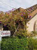 Joseph S. Kim, DDS [Seabright Dental]