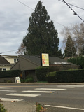 Lincoln Dental