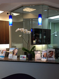Optima Dental