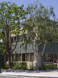 Campbell Dental