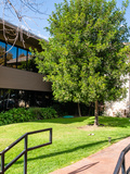 Malibu Canyon Dental