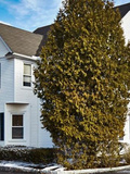 Carmel Dental Associates