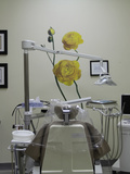 Daniel H Lee DDS