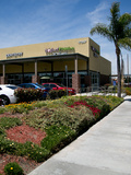Andreea Moisiuc DDS Inc.