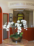Primary Office