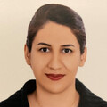 Narges M. Dentist