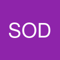 South Ocean Dental 's profile picture