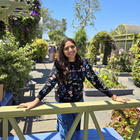 Divya P. Dental Receptionist / Front Desk and Dental Assistant