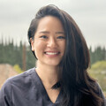Marilyn N. Dentist