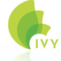 The Ivy Institute - Dental Specialists and Pain Management's profile picture
